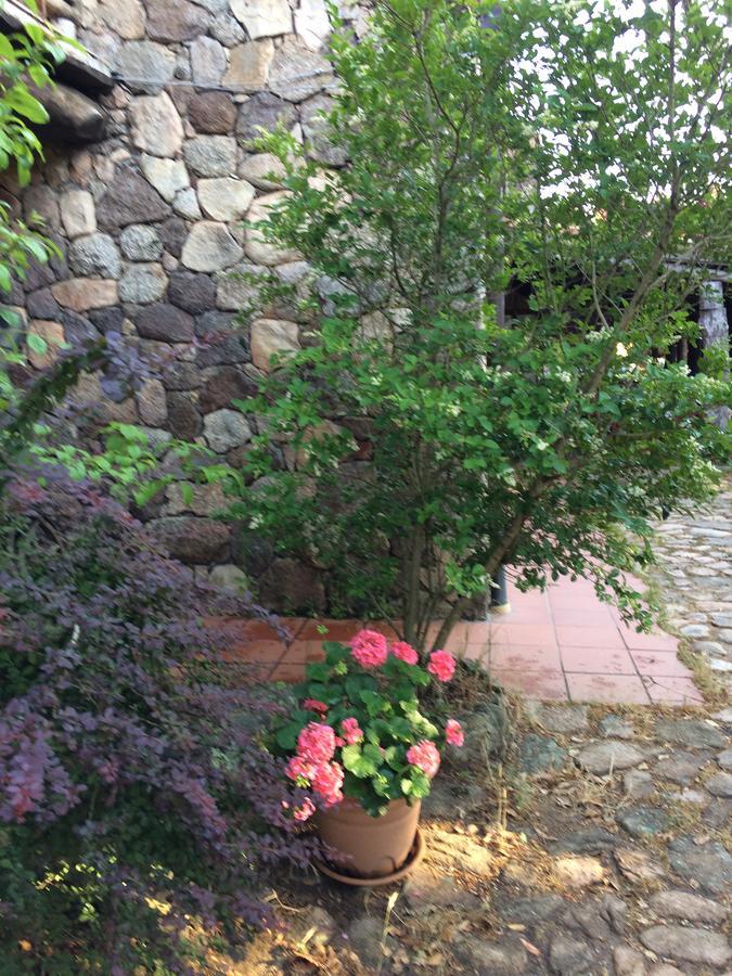Agriturismo Il Muto Di Gallura Aggius Exterior foto